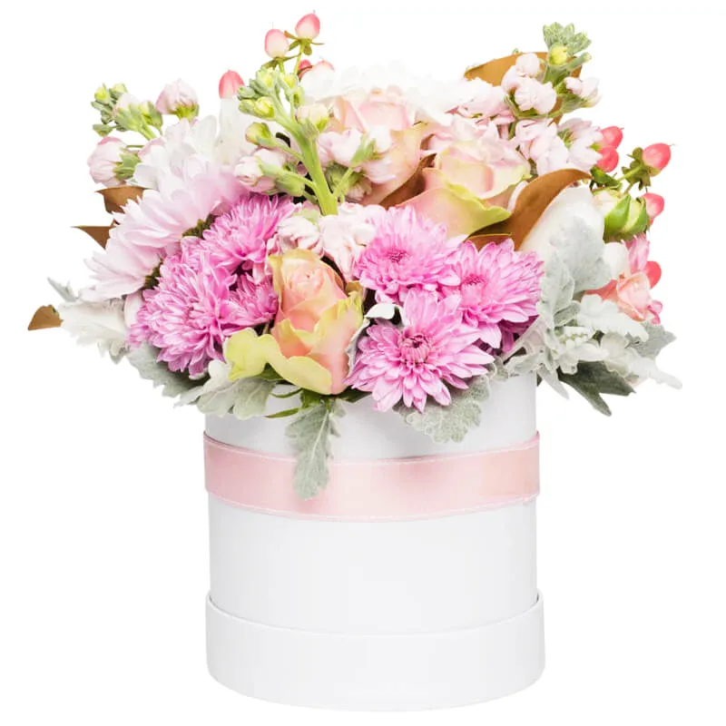 Цветы в коробке Любовный напиток